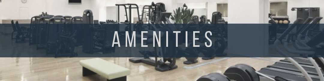 Stanford Suites Amenities